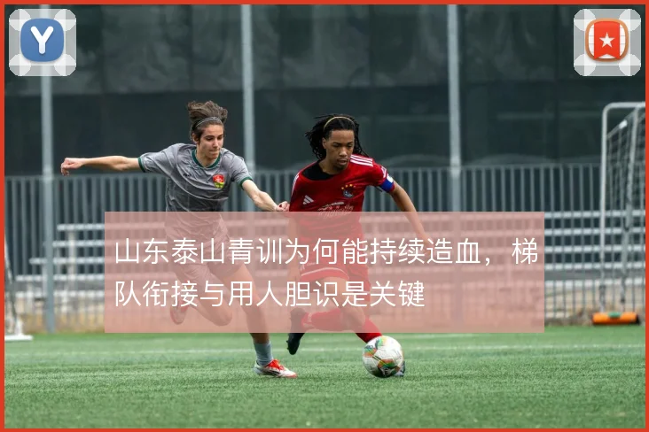 山东泰山青训为何能持续造血,梯队衔接与用人胆识是关键