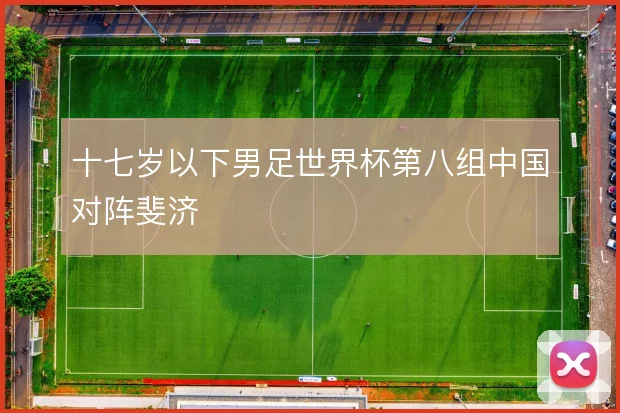 十七岁以下男足世界杯第八组中国对阵斐济