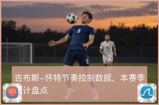 吉布斯-怀特节奏控制数据，本赛季统计盘点